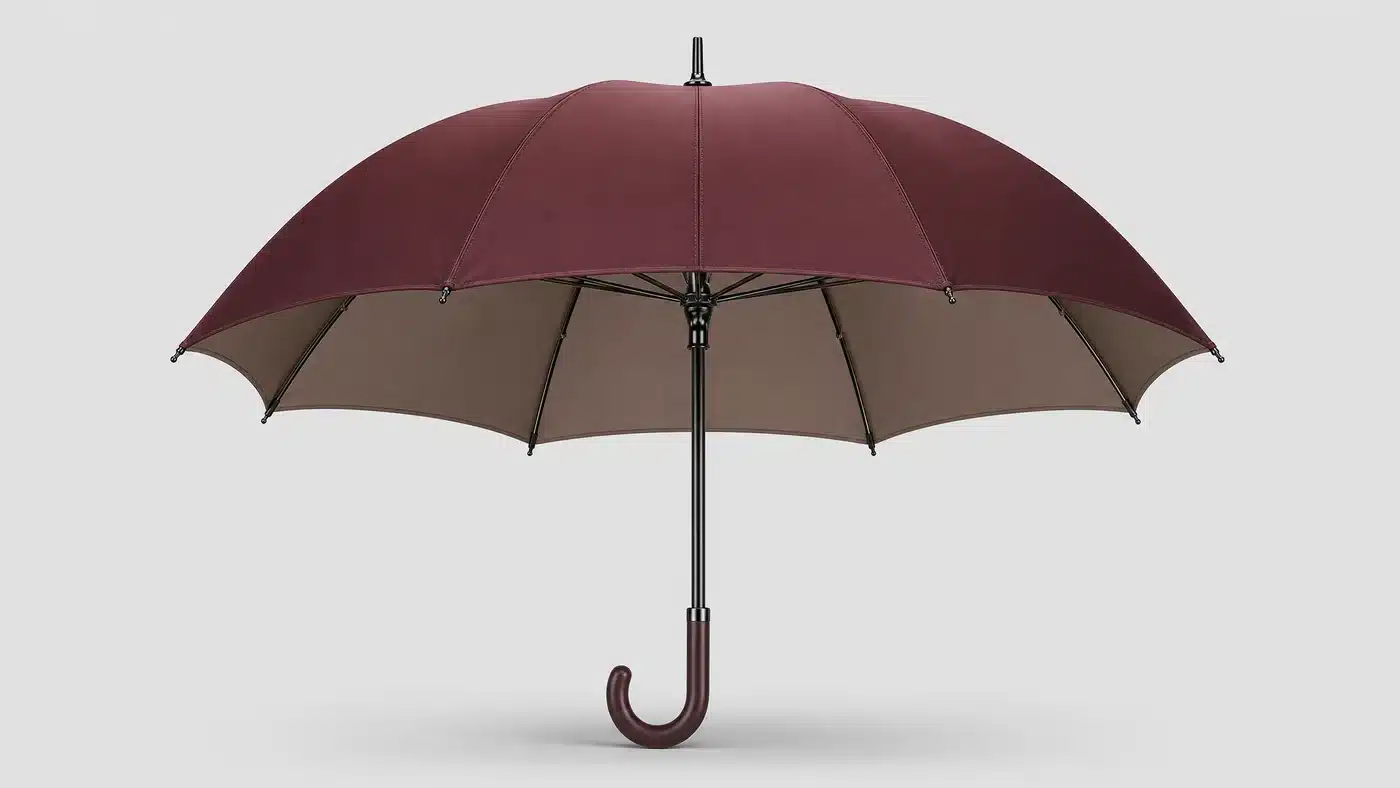 Simple Brush Neutral umbrella concept for China 2026 market