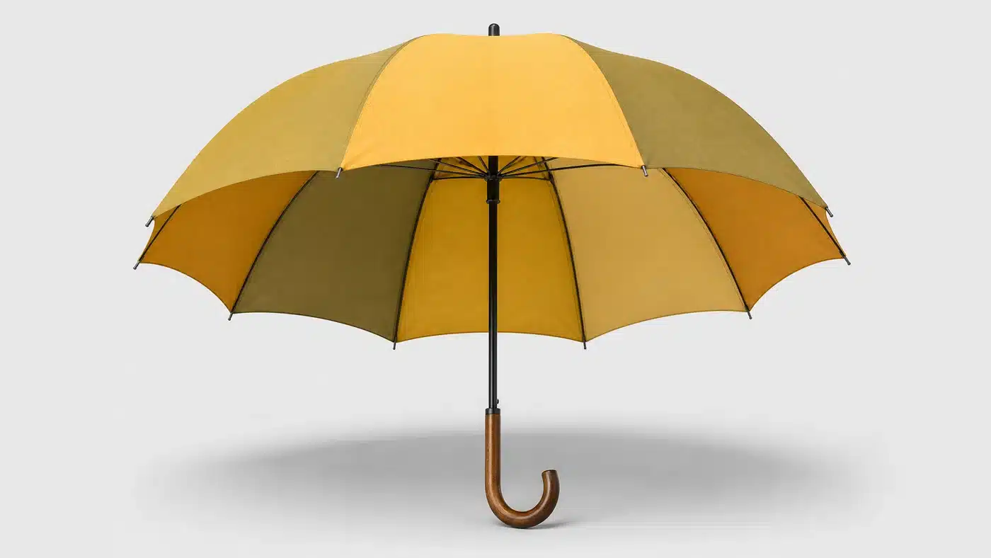 Conceito de guarda-chuva amarelo acácia para o mercado dos Estados Unidos em 2026
