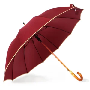 25 Inch 12 Ribs Auto Open Straight Umbrella 3516 straight umbrella product photo for OEM wholesale buyers